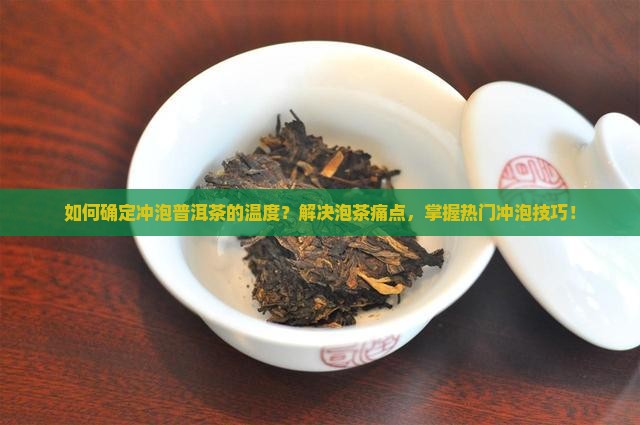 如何确定冲泡普洱茶的温度？解决泡茶痛点，掌握热门冲泡技巧！