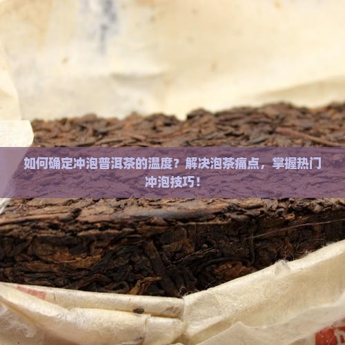 如何确定冲泡普洱茶的温度？解决泡茶痛点，掌握热门冲泡技巧！