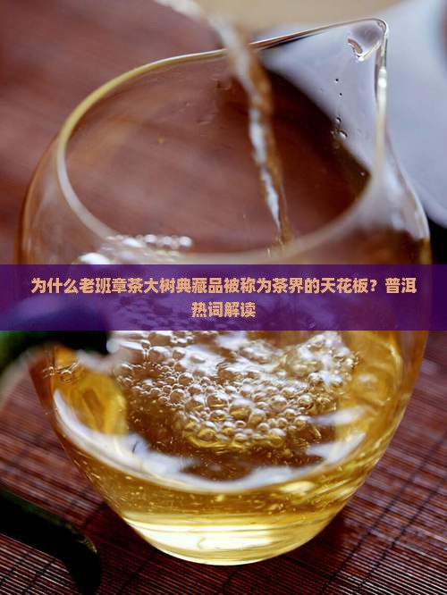 为什么老班章茶大树典藏品被称为茶界的天花板？普洱热词解读