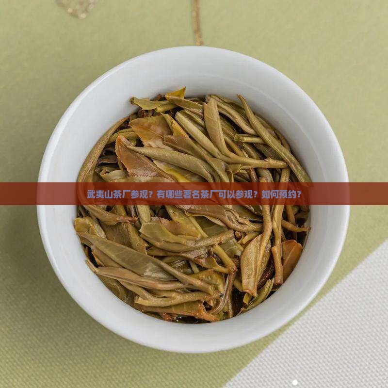 武夷山茶厂参观？有哪些著名茶厂可以参观？如何预约？