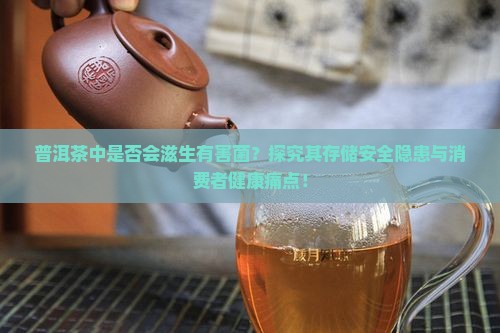 普洱茶中是否会滋生有害菌？探究其存储安全隐患与消费者健康痛点！