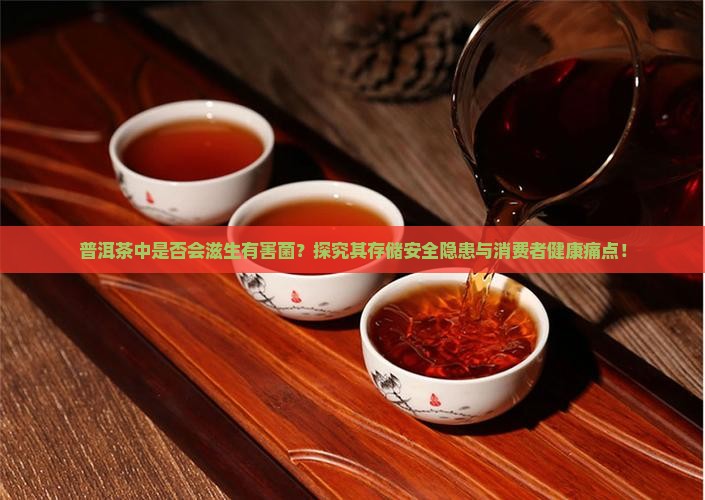 普洱茶中是否会滋生有害菌？探究其存储安全隐患与消费者健康痛点！