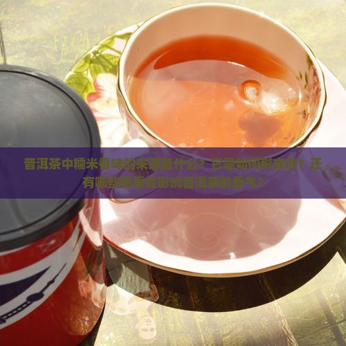 普洱茶中糯米香味的来源是什么？它是如何形成的？还有哪些因素会影响普洱茶的香气？