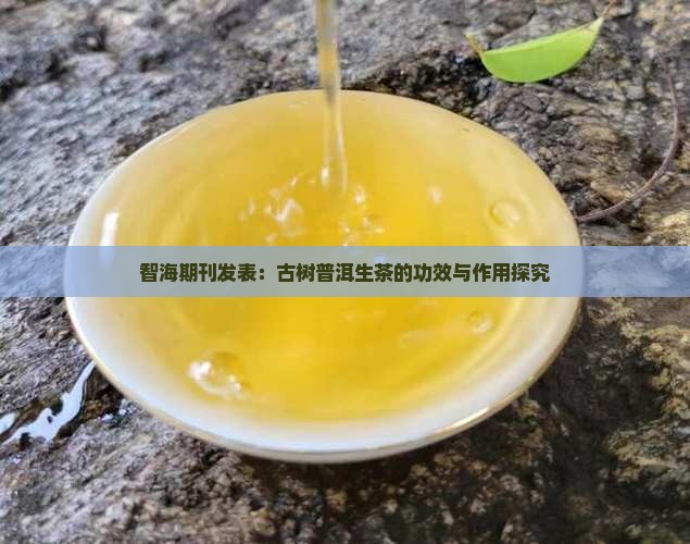 智海期刊发表：古树普洱生茶的功效与作用探究