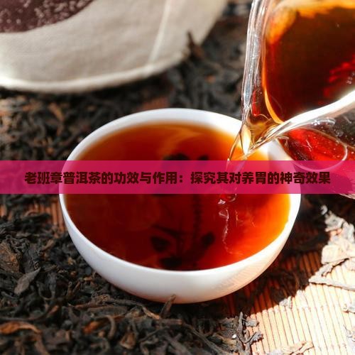老班章普洱茶的功效与作用：探究其对养胃的神奇效果