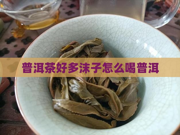 普洱茶好多沫子怎么喝普洱