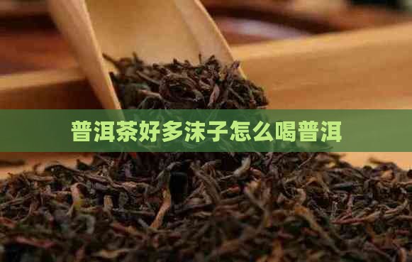 普洱茶好多沫子怎么喝普洱