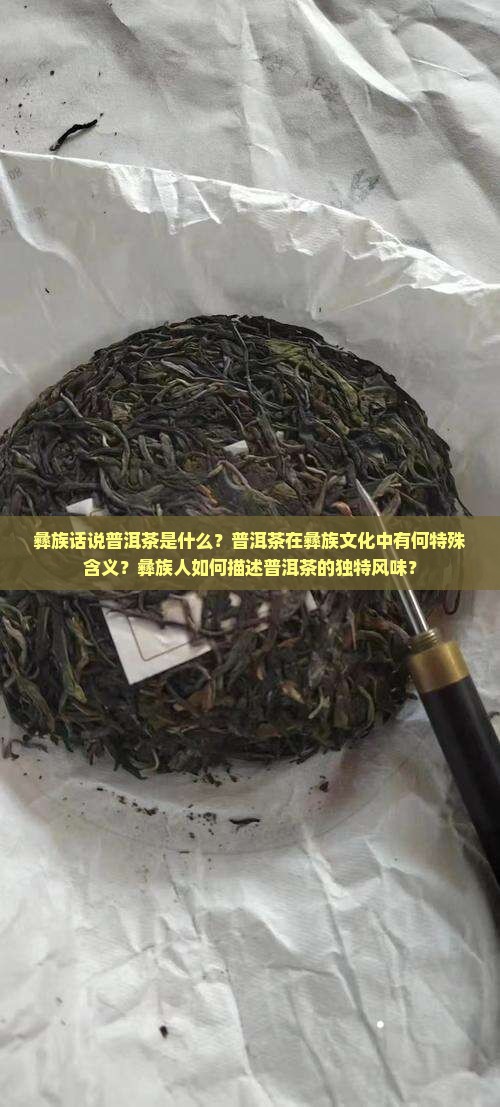 彝族话说普洱茶是什么？普洱茶在彝族文化中有何特殊含义？彝族人如何描述普洱茶的独特风味？