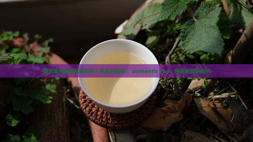西双版纳在哪里买茶叶？茶友的困惑： authentic tea、普洱茶源头直供