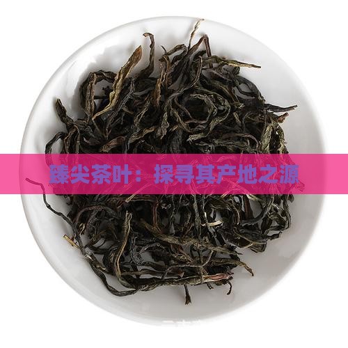 臻尖茶叶：探寻其产地之源