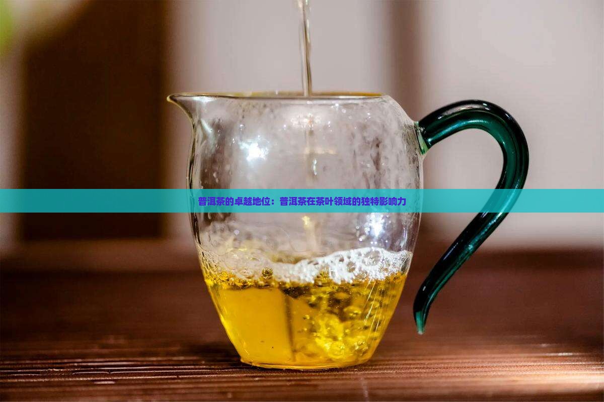 普洱茶的卓越地位：普洱茶在茶叶领域的独特影响力