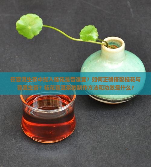 在普洱生茶中加入桂花是否适宜？如何正确搭配桂花与普洱生茶？桂花普洱茶的制作方法和功效是什么？