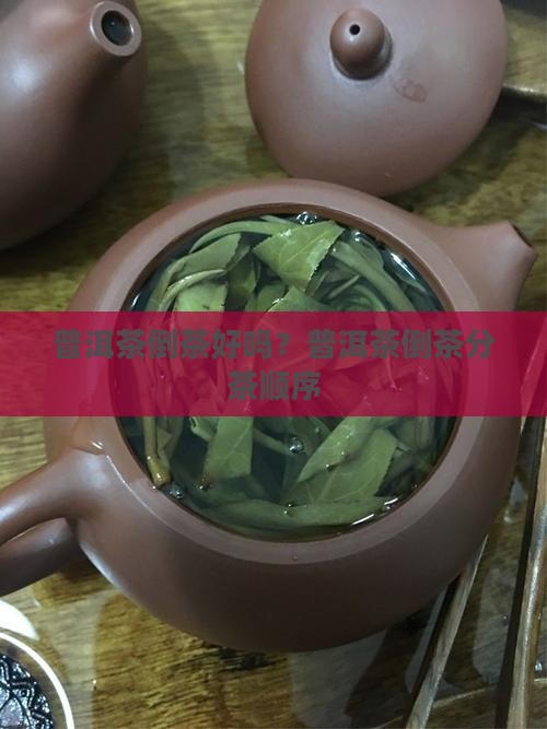 普洱茶倒茶好吗？普洱茶倒茶分茶顺序
