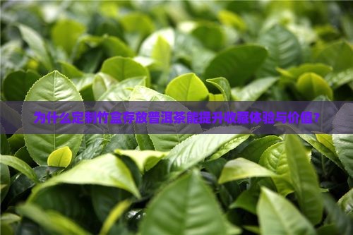 为什么定制竹盒存放普洱茶能提升收藏体验与价值？