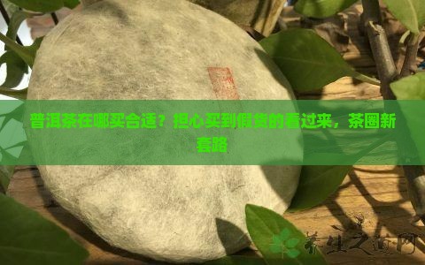 普洱茶在哪买合适？担心买到假货的看过来，茶圈新套路