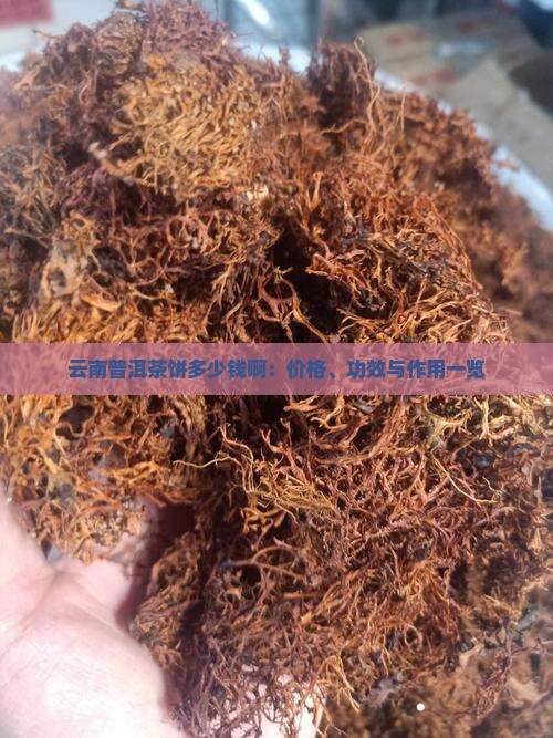 云南普洱茶饼多少钱啊：价格、功效与作用一览