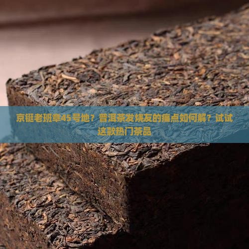 京铤老班章45号地？普洱茶发烧友的痛点如何解？试试这款热门茶品