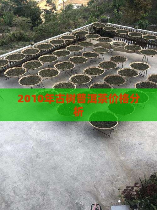 2010年古树普洱茶价格分析