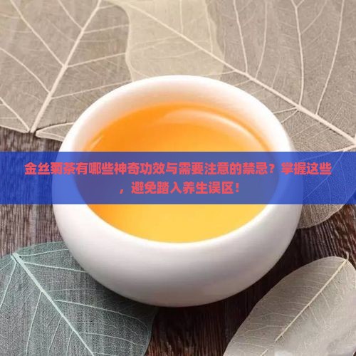 金丝菊茶有哪些神奇功效与需要注意的禁忌？掌握这些，避免踏入养生误区！