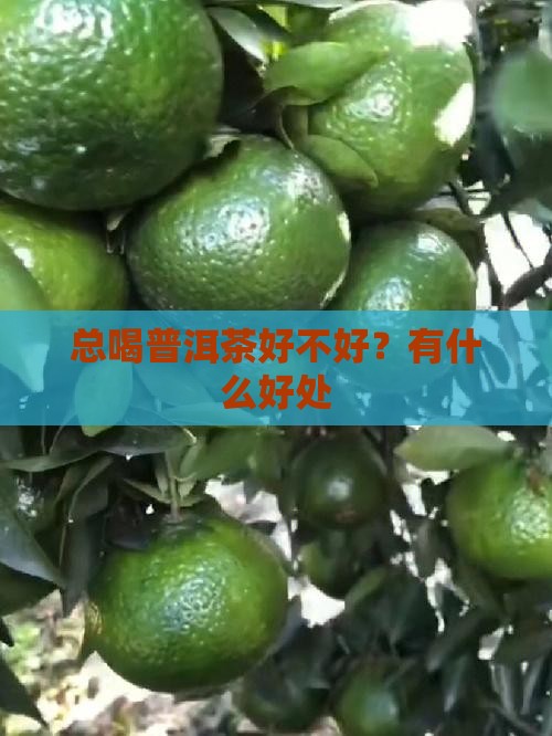 总喝普洱茶好不好？有什么好处