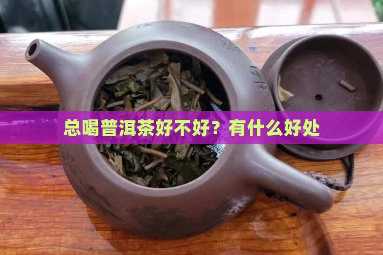 总喝普洱茶好不好？有什么好处