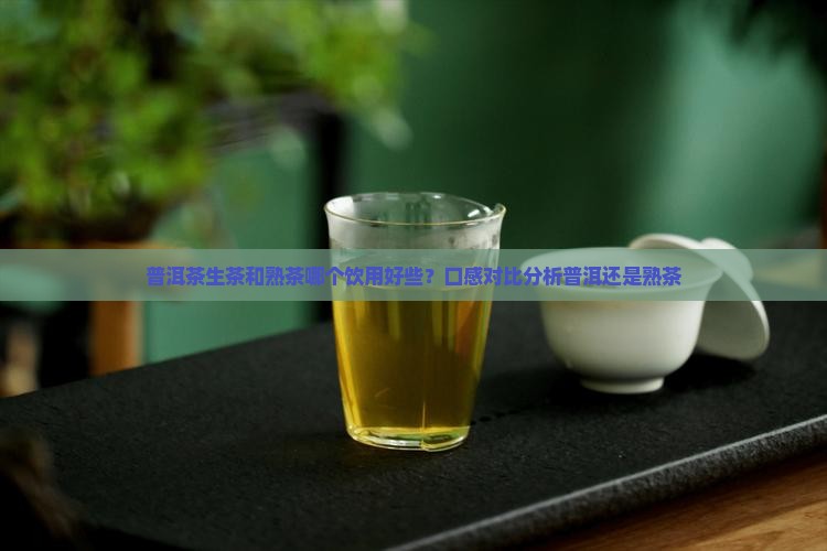 普洱茶生茶和熟茶哪个饮用好些？口感对比分析普洱还是熟茶