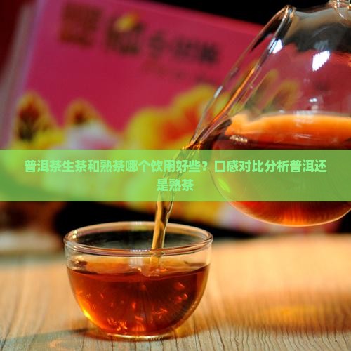 普洱茶生茶和熟茶哪个饮用好些？口感对比分析普洱还是熟茶