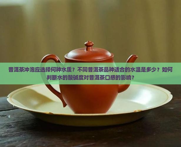 普洱茶冲泡应选择何种水质？不同普洱茶品种适合的水温是多少？如何判断水的酸碱度对普洱茶口感的影响？