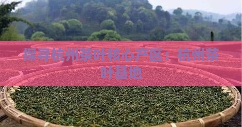 探寻杭州茶叶核心产区：杭州茶叶基地