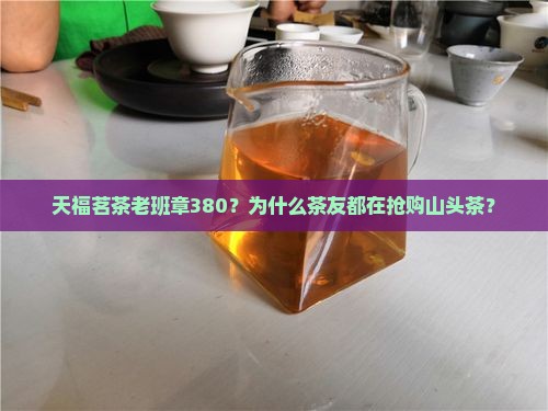 天福茗茶老班章380？为什么茶友都在抢购山头茶？