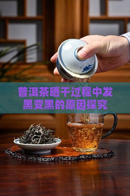 普洱茶晒干过程中发黑变黑的原因探究