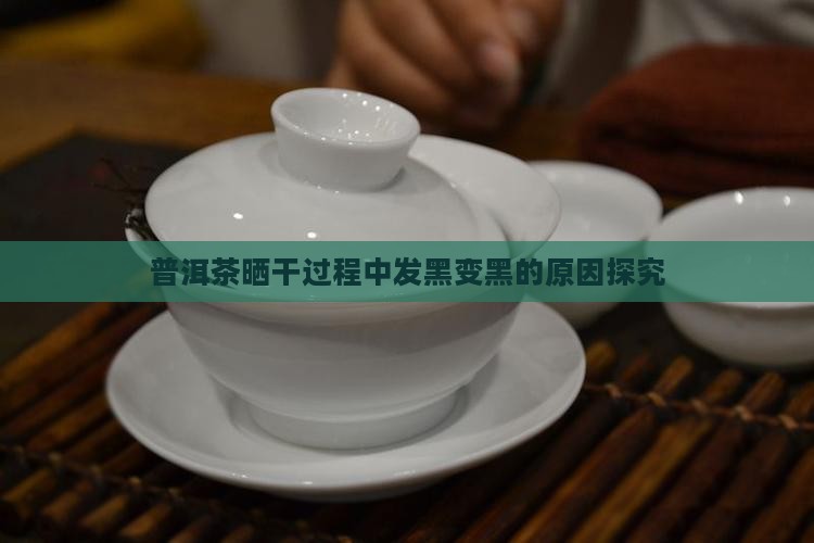 普洱茶晒干过程中发黑变黑的原因探究