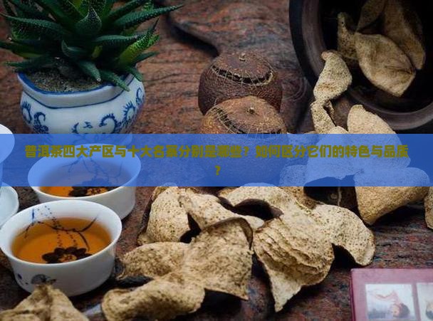 普洱茶四大产区与十大名寨分别是哪些？如何区分它们的特色与品质？