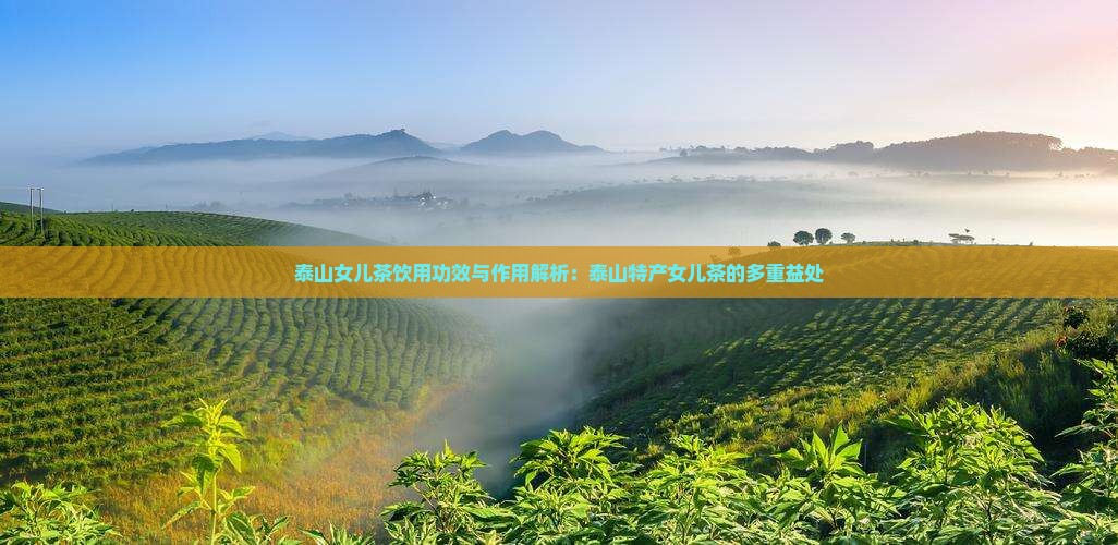 泰山女儿茶饮用功效与作用解析：泰山特产女儿茶的多重益处