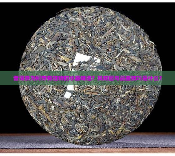 普洱茶为何带有独特的水墨味道？其成因与品鉴技巧是什么？