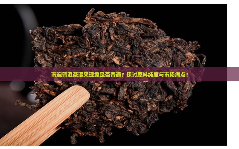 南迫普洱茶混采现象是否普遍？探讨原料纯度与市场痛点！