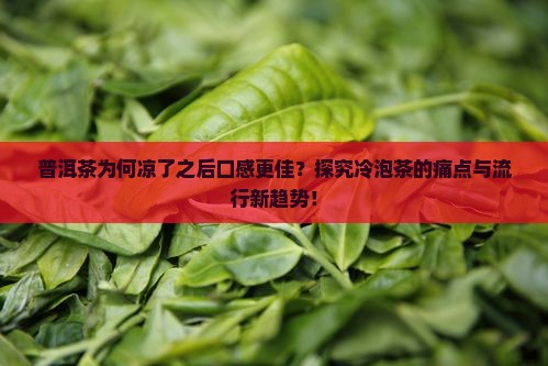 普洱茶为何凉了之后口感更佳？探究冷泡茶的痛点与流行新趋势！