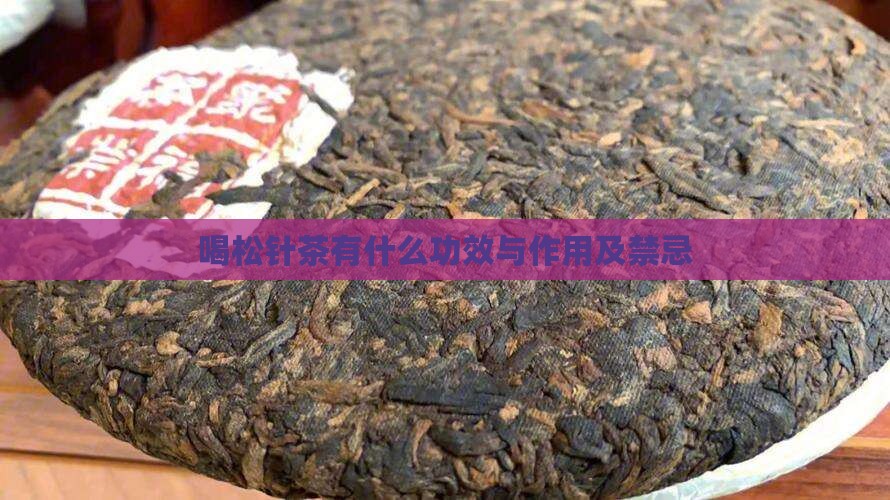 喝松针茶有什么功效与作用及禁忌
