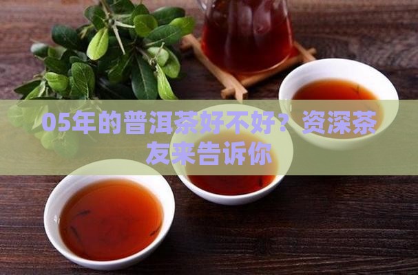 05年的普洱茶好不好？资深茶友来告诉你