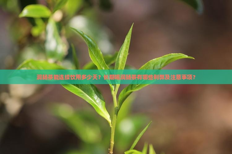 润肠茶能连续饮用多少天？长期喝润肠茶有哪些利弊及注意事项？