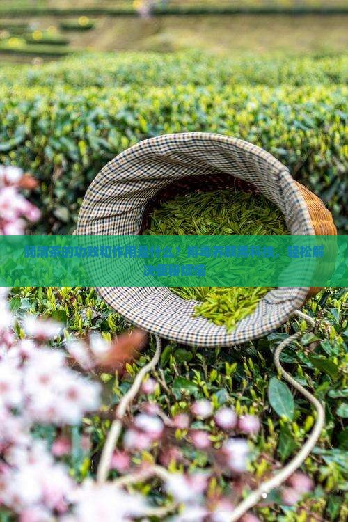 肠清茶的功效和作用是什么？排毒养颜黑科技，轻松解决便秘烦恼
