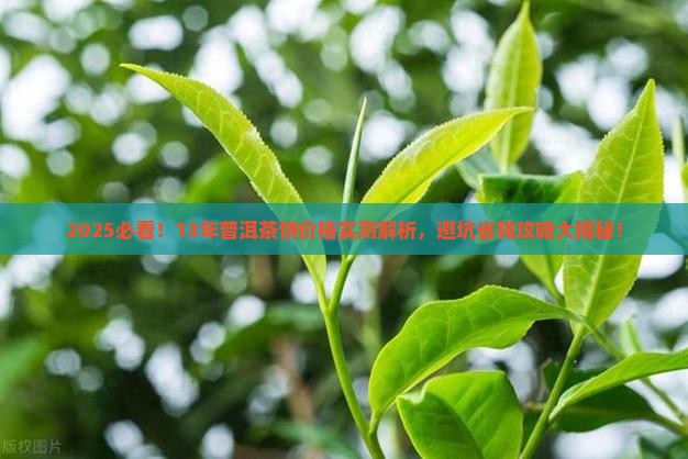 13年普洱茶多少钱一饼