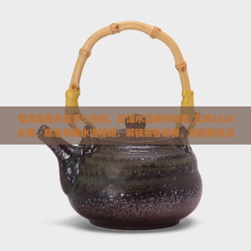 普洱泡茶水温多少合适