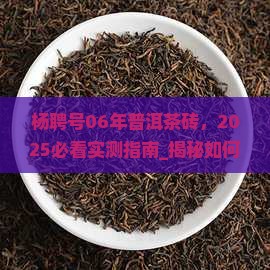 杨聘号06年普洱茶砖