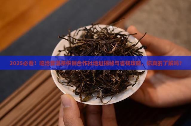 临沧普洱茶供销合作社地址