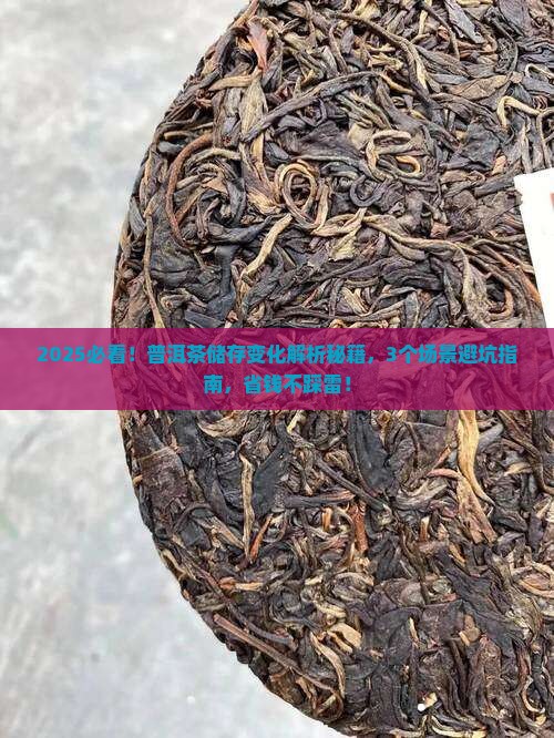 普洱茶储存变化分析