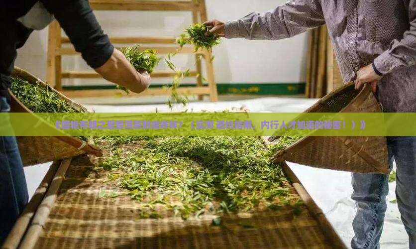 国艳布朗之星普洱茶咋样
