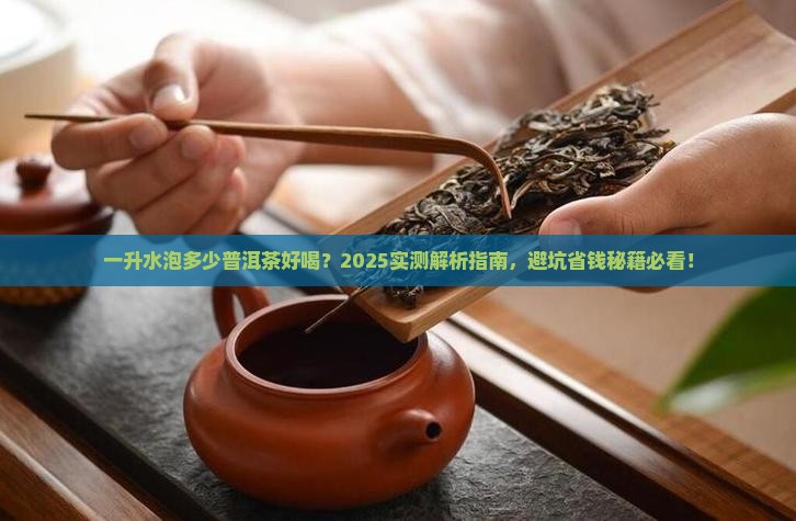 一升水泡多少普洱茶好喝
