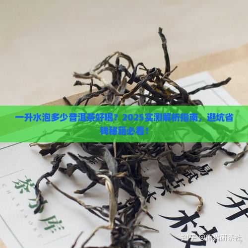 一升水泡多少普洱茶好喝