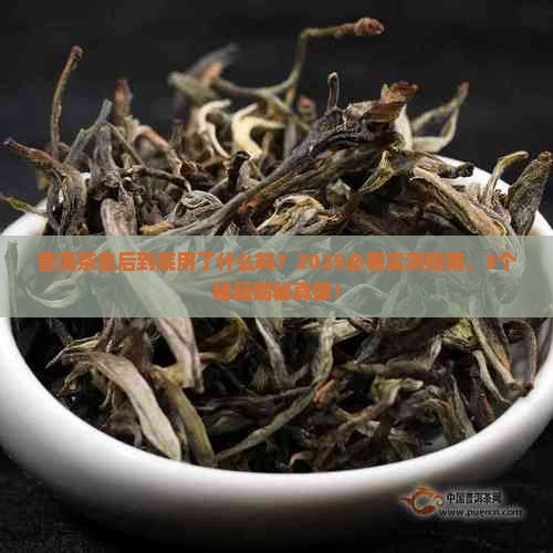 普洱茶皇后选用什么料